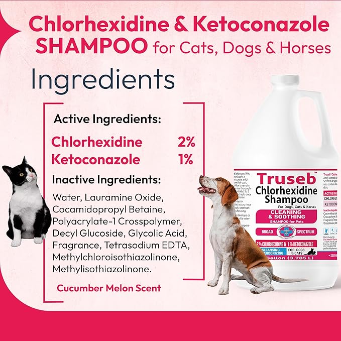 Truseb Topical Ketoconazole and Chlorhexidine Shampoo for Dogs, Cats &amp; Horses Pleasantly Scented with a Cucumber Melon Scent with Aloe (Ketoconazole &amp; Chlorhexidine Shampoo, 1 Gallon)