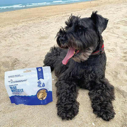 smallbatch Pets Freeze Dried Cat &amp; Dog Treats, 2oz - 100% Blue Mussels, Organic High Protein Treats, Omega 3 Fatty Acids, Gluten Free, Grain Free, Made in The USA, Ethically Sourced, Single Protein
