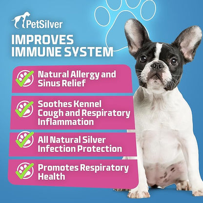 PetSilver Immune Support, Natural Nebulizer Solution, Promotes Respiratory Health in Cats &amp; Dogs, Allergies, Sinus &amp; Cough Treatment, Easy to Use, Patented Chelated Silver, Made in The USA, 16 fl oz