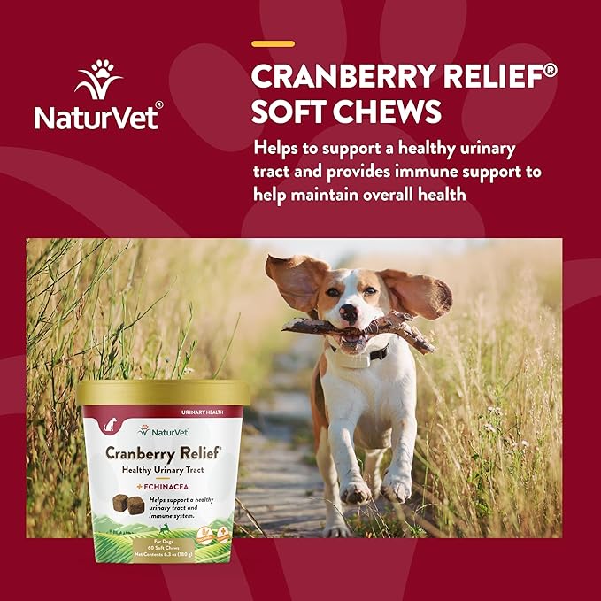 NaturVet – Cranberry Relief Plus Echinacea – Helps Support a Healthy Urinary Tract &amp; Immune System – 60 Soft Chews