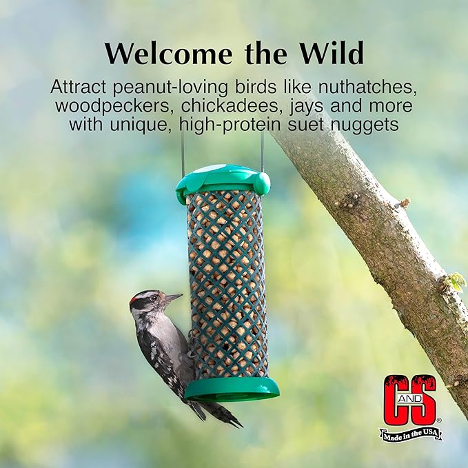 C&amp;S Wild Bird Peanut Suet Nuggets Mega Box, 8 Pounds
