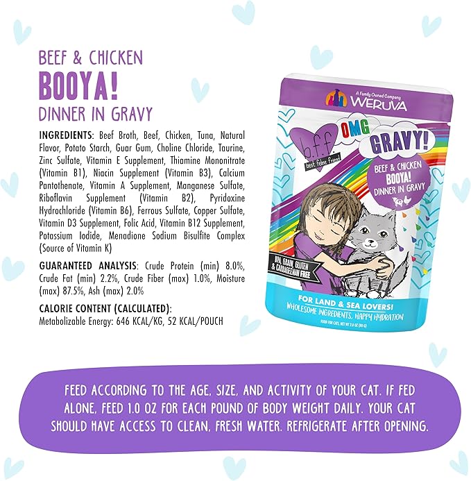 Weruva B.F.F. OMG - Best Feline Friend Oh My Gravy!, Booya! Beef &amp; Chicken in Gravy Cat Food, 2.8oz Pouch (Pack of 12)