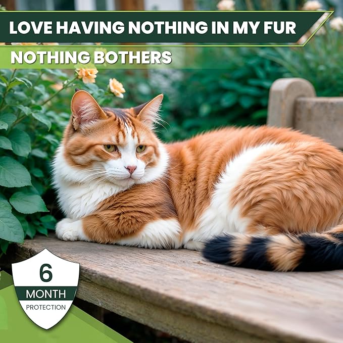 Flea and Tick Prevention for Cats: Flea &amp; Tick Topical for Cats Over 1.5lbs, 6 Dose Flea and Tick Control/Prevention for 6 Months (6 Pack)