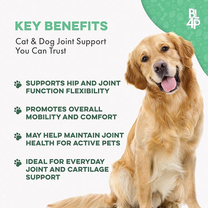 Walk-Easy Dog Hip &amp; Joint Supplement, Effective Dog Pain Relief and Anti-Inflammatory Supplement for Mobility, Canine Joint Pain Relief, ACL Tears, Limping, Knee and Back Aches, Easy to Give 2 Pack