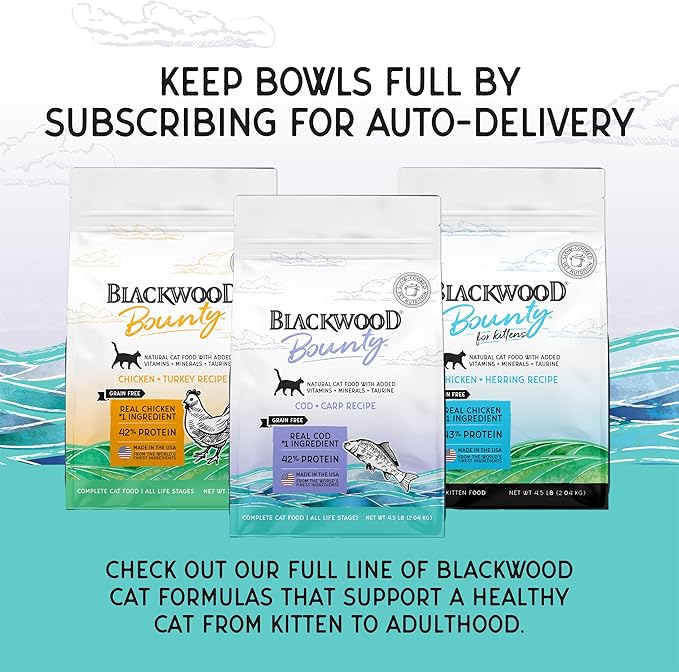 Blackwood Bounty Dry Cat Food, Cod &amp; Carp Recipe for All Life Stages, 4.5 Pound Bag, High Protein, Grain Free