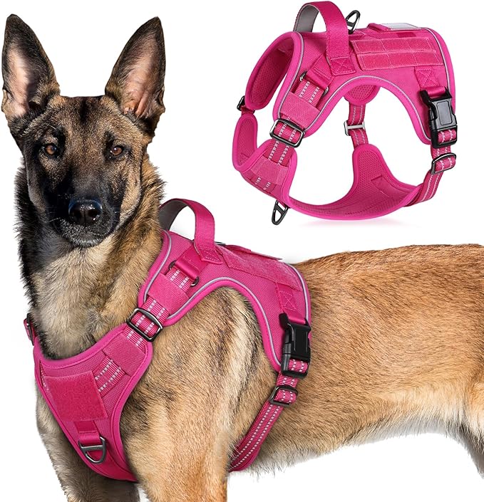 rabbitgoo Tactical Dog Harness for Large Dogs, No Pull Military Service Vest with Handle &amp; Molle, Easy Control for Training Walking, Adjustable Reflective Straps, Rose Red, XL