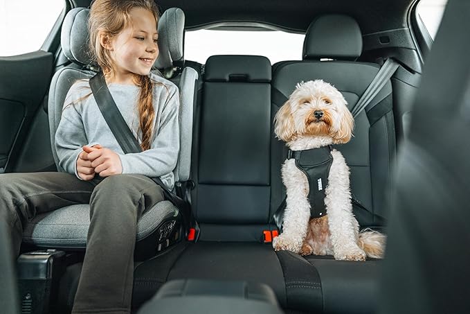 Thule Cappy Dog Harness S - Crash-Tested for Safety - Seatbelt passthrough - Adjustable &amp; Easy to Clean - Padded Breathable mesh Panels - Leash Loop - Step-in Design