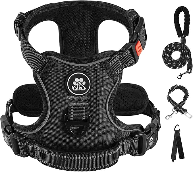 IVY&amp;LANE No Pull Dog Harness for Medium Dogs, Dog Vest Harness with Leash, Safety Belt and Storage Strap, Fully Adjustable Harness, 360° Reflective Strip, Soft Handle (Black, M)