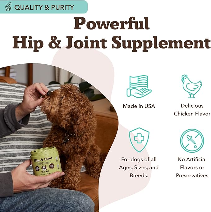 Natural Dog Company Hip &amp; Joint Chews, Chicken Liver &amp; Turmeric Flavor, with Glucosamine Chondroitin for Dogs, Maintains Bone and Joint Health, Supplements for Seniors and Puppies, 90 Count