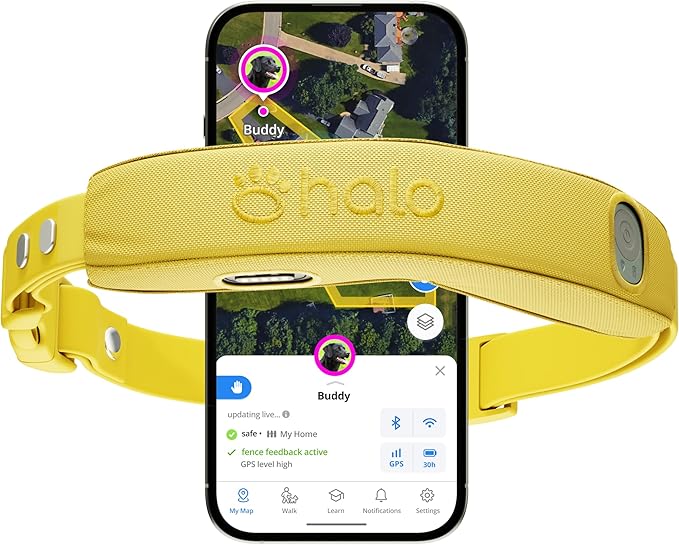 Halo Collar 4, All New GPS Wireless Dog Fence &amp; Dog Training Collar with GPS Tracker, Subscription Required, Waterproof, One Size, Sunburst