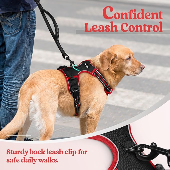 rabbitgoo Dog Harness No Pull with 2 Leash Clips, Adjustable Soft Padded, Reflective Oxford No Choke Pet Vest with Easy Control Handle for Medium Sized Dogs, Black &amp; Red, M