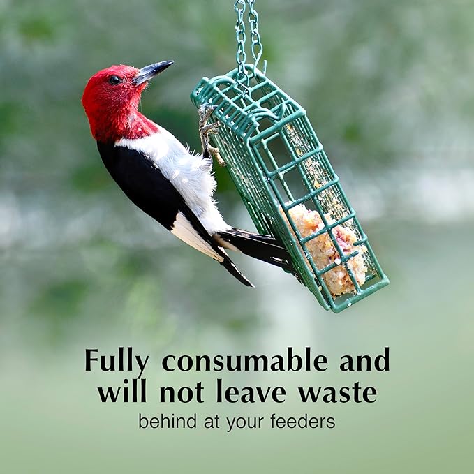C&amp;S High Energy Delight No Melt Suet Dough, Suet Cakes for Wild Birds, 11 Ounces, Pack of 8