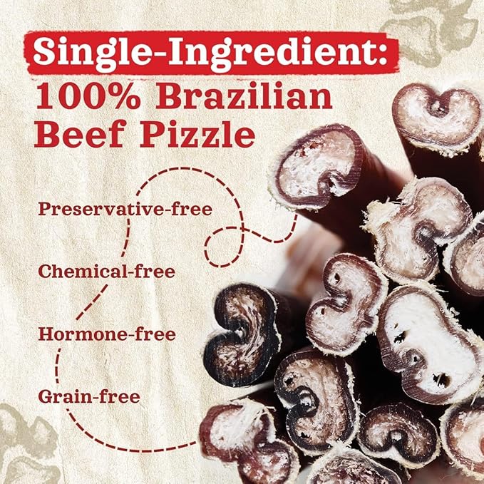 Natural Farm Odor-Free Thick Bully Sticks (12”, 10-Pack) All-Natural Long-Lasting Dog Chews, 100% Beef Pizzle, Grass-Fed, Grain-Free, Protein for Muscle Development &amp; Energy, Perfect for Large Dogs