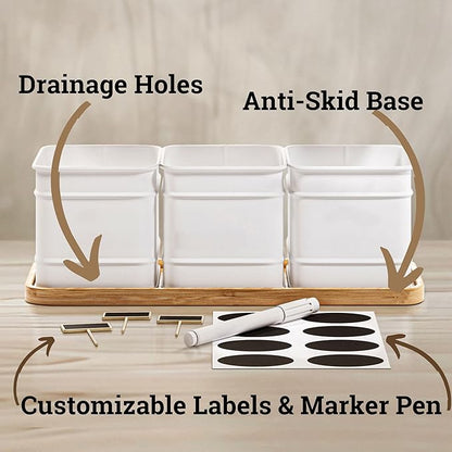Herb Planter Indoor - 3 Iron Herb Pots with Drainage Holes, Varnished Bamboo Tray, Customizable Labels &amp; Marker Pen - Indoor Herb Garden Planter - 3 Pots for Herbs - Inside Spice Garden - Basil Pot