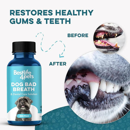 Dog Bad Breath Treatment &amp; Dog Dental Care Solution, Natural Supplement for Canine Oral Health, Canine Tooth Pain Relief, Plaque Control, Gum Disease, Gingivitis, 400 Odorless, Tasteless Pills