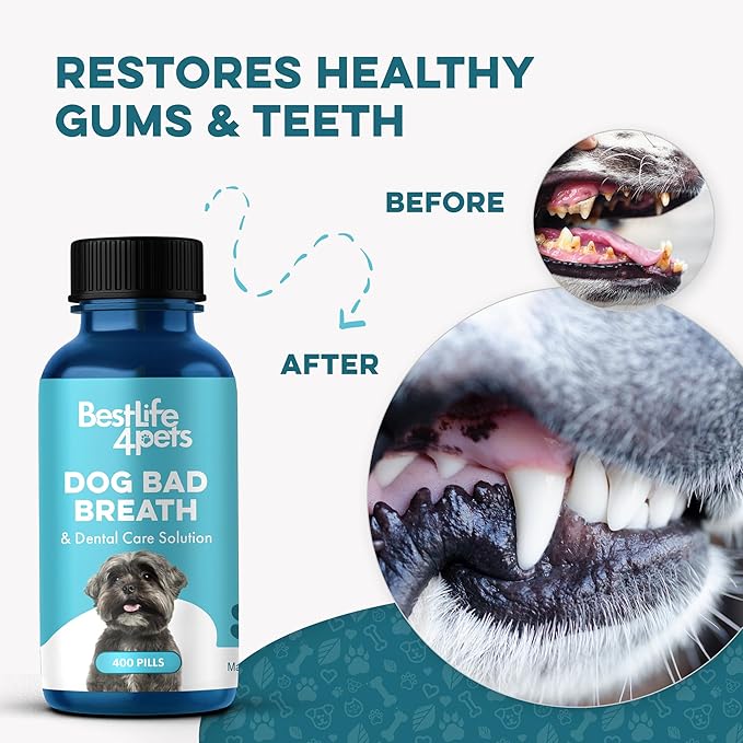 Dog Dental Care &amp; Bad Breath Remedy, Natural Dog Oral Care for Healthy Teeth, Mouth &amp; Gums, Daily Canine Breath Freshener, Plaque, Tartar Control Helps Reduce Gingivitis, Easy to Use 800 Tiny Pills
