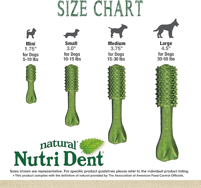 Nylabone Nutri Dent Dog Dental Chews, Natural Teeth Cleaning Treats &amp; Breath Freshener for Dogs, Fresh Mint Flavor, Mini (78 Count)