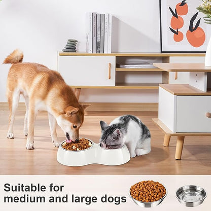 Elevated Dog Bowls Set - Non-Slip Raised Pet Feeder with Medium (10 oz) &amp; Large (20 oz) Stainless Steel Bowls - Includes Durable Resin Stand for Puppies, Adult Dogs &amp; Cats - White