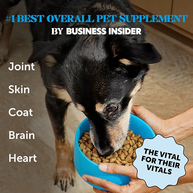 Omega 3 Fish Oil Supplement for Dogs &amp; Cats (32oz), Wild Caught Omega 3 Fish Oil for Skin and Coat Health, Supports Shedding, Skin &amp; Coat, Immunity, Joint, Brain &amp; Heart, EPA + DHA