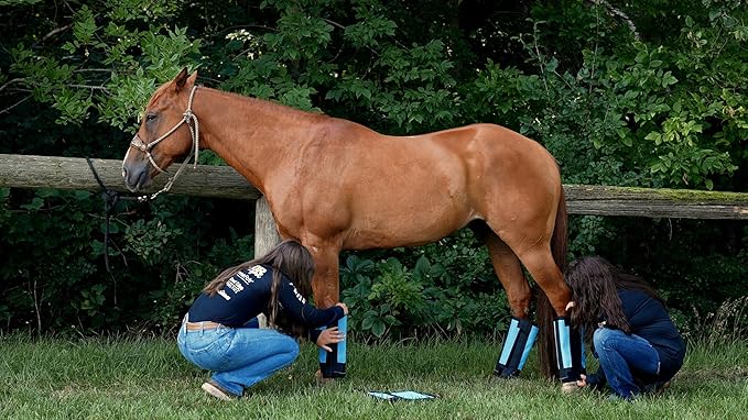 Warrior Fly Boots for Donkeys, Ponys, or Yearlings - Breathable Mesh Horse Boots for Fly Protection &amp; Leg Comfort - Set of 4 (Mighty Warrior, Red)