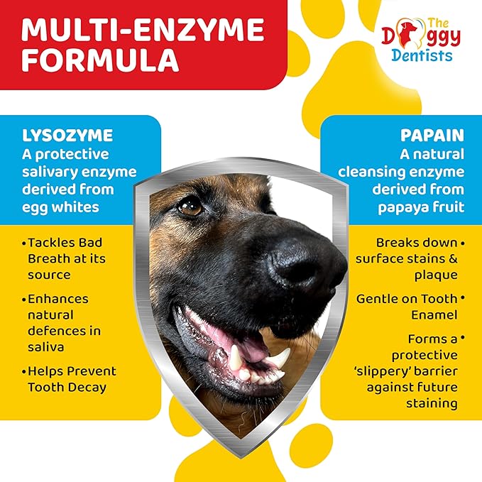 Vet Strength Pure Enzymatic Dog &amp; Cat Toothpaste | 3.5oz Beef Flavor | Enzyme Pet Toothpaste for Tartar Removal, Bad Breath, Teeth Cleaning | Suitable for Puppies &amp; Kittens