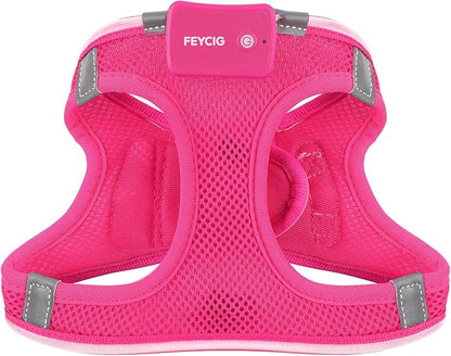 Light Up Dog Harness,Rechargeable LED Dog Harness for Small Medium Large Dogs,Reflective Lighted Safety Vest for Night Walking &amp; Camping,Lightweight &amp; Adjustable,Pink,M