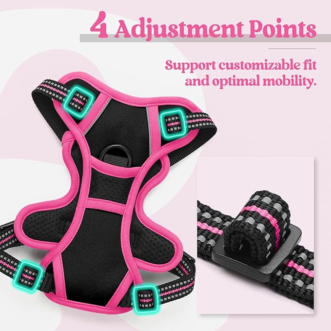 rabbitgoo Dog Harness No Pull with 2 Leash Clips, Adjustable Soft Padded, Reflective Oxford No Choke Pet Vest with Easy Control Handle for Large Dogs, Black &amp; Hot Pink, XS
