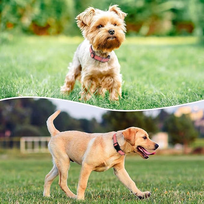 Reflective Dog Collar Padded with Soft Neoprene Breathable Quick Release Basic Dog Collars for Medium Large Dogs Coral