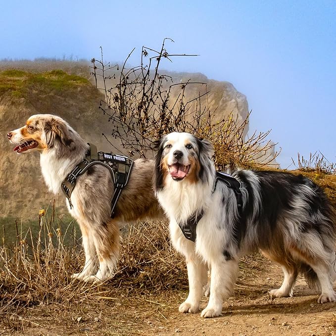 rabbitgoo Tactical Dog Harness for Large Dogs, No Pull Military Service Vest with Handle &amp; Molle, Easy Control for Training Walking, Adjustable Reflective Straps, Brown, XL