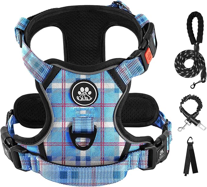IVY&amp;LANE No Pull Dog Harness with Leash Set, Reflective No Choke Pet Vest,Adjustable Oxford Dog Vest Harness with Easy Control Handle for Small Dogs (Checkered Blue,S)