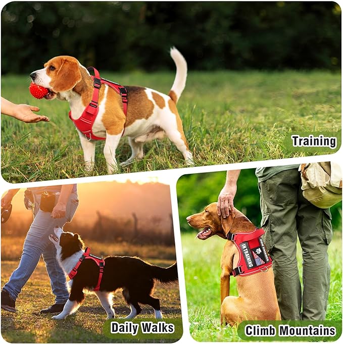WINSEE Service Dog in Training Harness with 5 PCS Patches, Reflective Tactical Dog Vest Harness, Adjustable Soft Oxford Pet Harness with Easy Control Handle, Hook &amp; Loop Panels for Walking Hiking