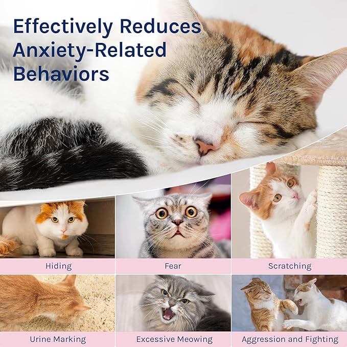 Cat Calming Pheromones Diffuser: 2 Classic Cats Plug in Refill Diffusers for Relaxation &amp; Comfort - Reduce Stress Barking &amp; Scratching - Indoor 60 Days Supply
