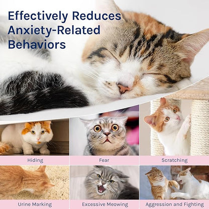 Cat Calming Pheromones Diffuser: 2 Classic Cats Plug in Refill Diffusers for Relaxation &amp; Comfort - Reduce Stress Barking &amp; Scratching - Indoor 60 Days Supply