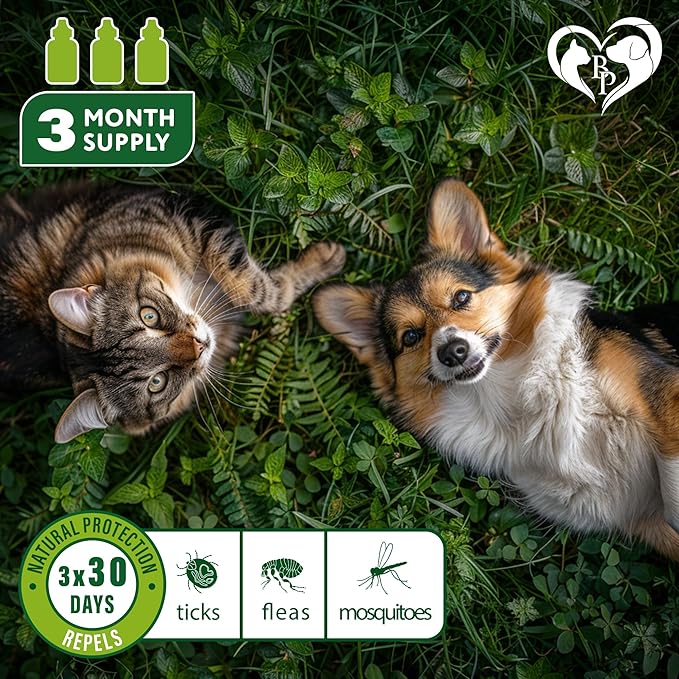 Flea and Tick Prevention for Small Dogs &amp; Cats, Rabbits - Natural Flea Treatment &amp; Pest Control - Topical Flea &amp; Mosquito Repellent for Puppy and Kitten - All Pets