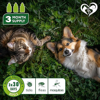 Flea and Tick Prevention for Small Dogs &amp; Cats, Rabbits - Natural Flea Treatment &amp; Pest Control - Topical Flea &amp; Mosquito Repellent for Puppy and Kitten - All Pets