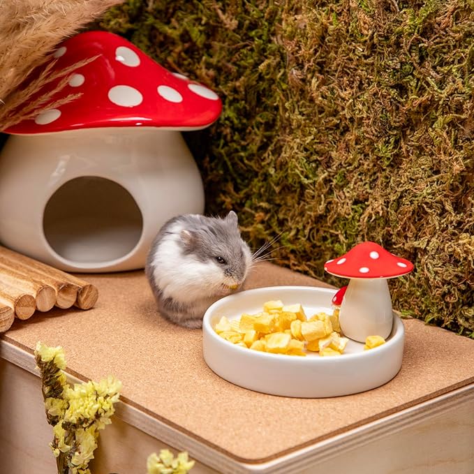 Niteangel Hamster Snack &amp; Treats Toy - Small Animal Natural Treat for Dwarf Syrian Robo Hamsters Gerbils Mice Lemmings Degus or Other Small-Sized Pets
