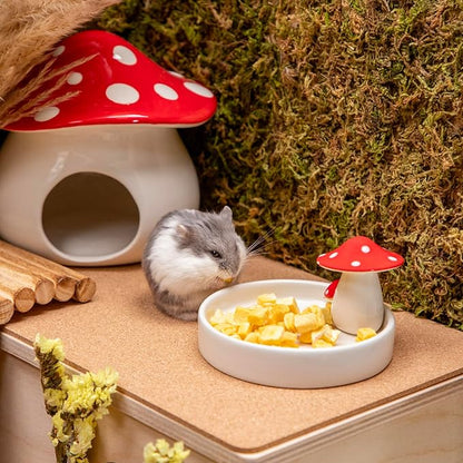 Niteangel Hamster Snack &amp; Treats Toy - Small Animal Natural Treat for Dwarf Syrian Robo Hamsters Gerbils Mice Lemmings Degus or Other Small-Sized Pets