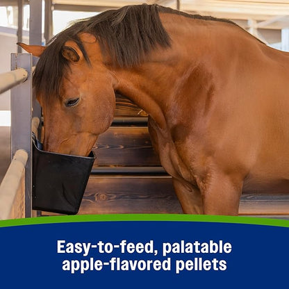 Farnam Apple Elite Electrolyte Supplement for Horses, Replaces Vital Minerals, Encourages Hydration, No Added Sugar, 7.5 lb, 40 Day Supply