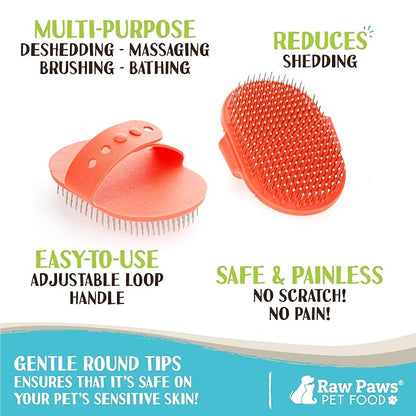 Raw Paws Grooming Brush, 1 ct - Hand-Held Rubber Tipped Pin Brush for Dogs &amp; Cats - Deshedding Dogs with Short Hair &amp; Long Hair - Dog Grooming