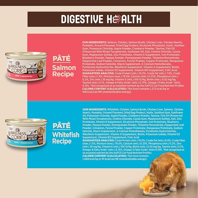 Wellness CORE+ Digestive Health Pate Adult Wet Cat Food, Natural, Protein-Rich, Grain Free, 3 Ounce, 12 Pack (Salmon &amp; Whitefish Variety Pack)
