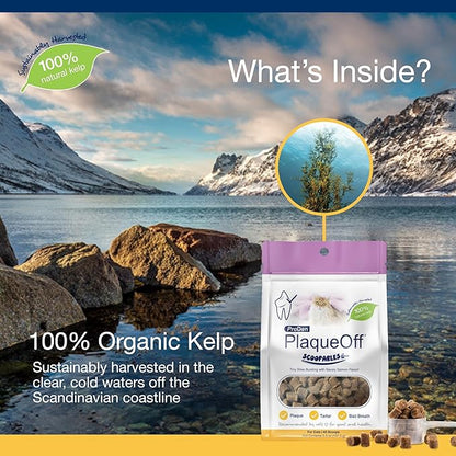 ProDen PlaqueOff Scoopables: Salmon-Flavored Dental Bites for Cats - Natural Kelp Formula for Plaque &amp; Tartar Control, Freshens Breath- 45 Scoops