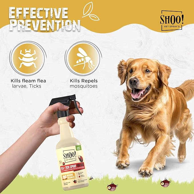 Shoo! Flea &amp; Tick Spray for Dogs and Home | Plant Based, Natural Oils, Chemical Free Formula | Kills, Repels, Prevents | 16 oz (Morning Freshness)