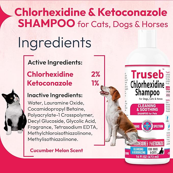 Truseb Topical Ketoconazole and Chlorhexidine Shampoo for Dogs, Cats, and Horses with Aloe - 16 oz (Ketoconazole &amp; Chlorhexidine Shampoo, 16 oz)