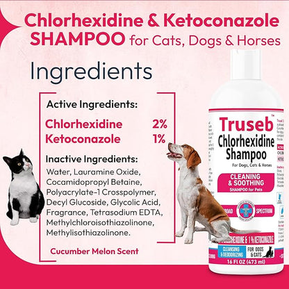 Truseb Topical Ketoconazole and Chlorhexidine Shampoo for Dogs, Cats, and Horses with Aloe - 16 oz (Ketoconazole &amp; Chlorhexidine Shampoo, 16 oz)