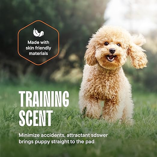 Puppy Pads Pet Pee Pads for Dogs &amp; Puppy Training - 100 Count - Potty Pads for Dogs 22" x 22" Leak-Proof Dog Pee Pads - Quick-Dry Surface - Heavy Duty Absorbent Disposable Dog Wee Pad Bulk Pack