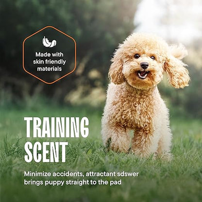 Puppy Pads Pet Pee Pads for Dogs &amp; Puppy Training - 100 Count - Potty Pads for Dogs 22" x 22" Leak-Proof Dog Pee Pads - Quick-Dry Surface - Heavy Duty Absorbent Disposable Dog Wee Pad Bulk Pack