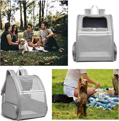 Texsens Pet Backpack Carrier for Small Cats Dogs | Ventilated Design, Safety Straps, Buckle Support, Collapsible | Designed for Travel, Hiking &amp; Outdoor Use (Light Gray)