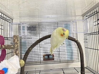 Parrot Perch Stand Bird Cage Stand Pole Natural Wild Grape Stick Grinding Paw Cage Accessories for Parakeet Cockatiels Budgies Conure Lovebirds Platform (U-Shaped)