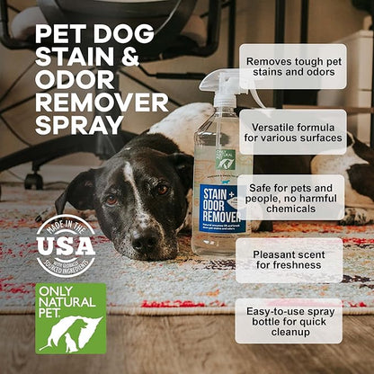 Only Natural Pet Enzyme Powered Stain &amp; Odor Eliminator - Professional Pet Urine Pee Cleaner Deodorizer For Dogs - Hardwood Floors Carpets Upholstery - Fresh Mandarin Orange &amp; Green Tea Scent - 32Floz
