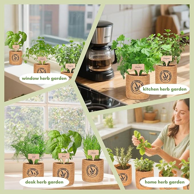 10 Indoor Herb Garden Kit- Burlap Pots, Organic Seeds, Herb Garden Planter Indoor Kit, Easy Window &amp; Kitchen Herbs Growing Kit, Cilantro, Basil, Sage, Oregano, Parsley, Dill, Chives etc.